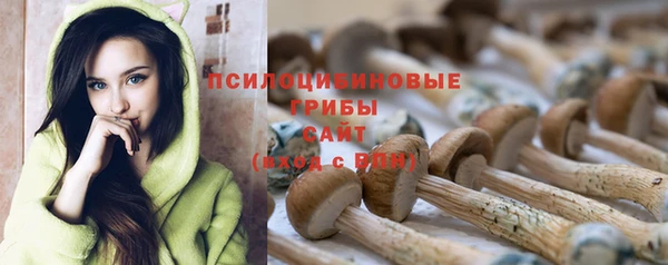 соль ск Алексин