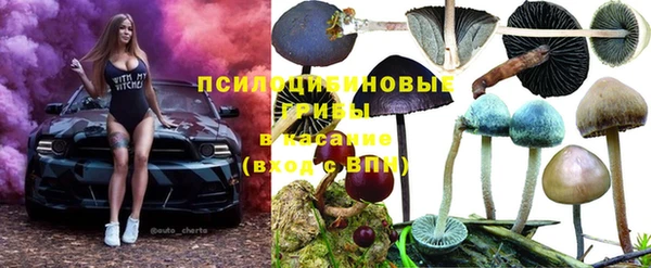 ECSTASY Алзамай