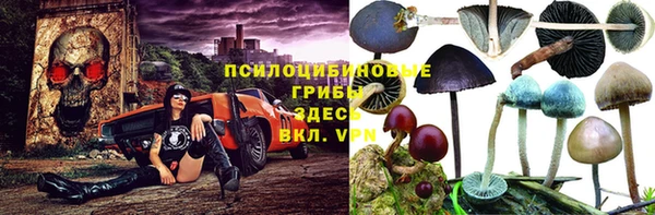 стафф Алексеевка
