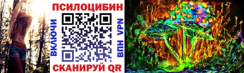 как найти наркотики  Кондопога  Псилоцибиновые грибы GOLDEN TEACHER 